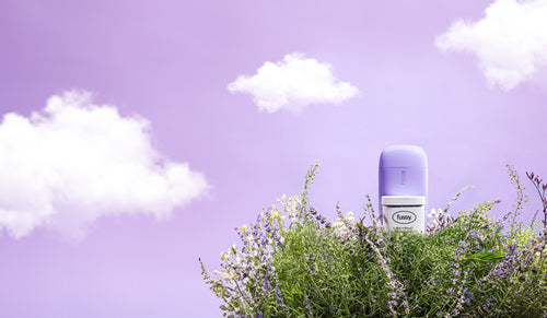 Fussy's Lilac coloured deodorant case and refill pack displayed atop a blooming lavender bush under a soft purple sky with scattered white clouds