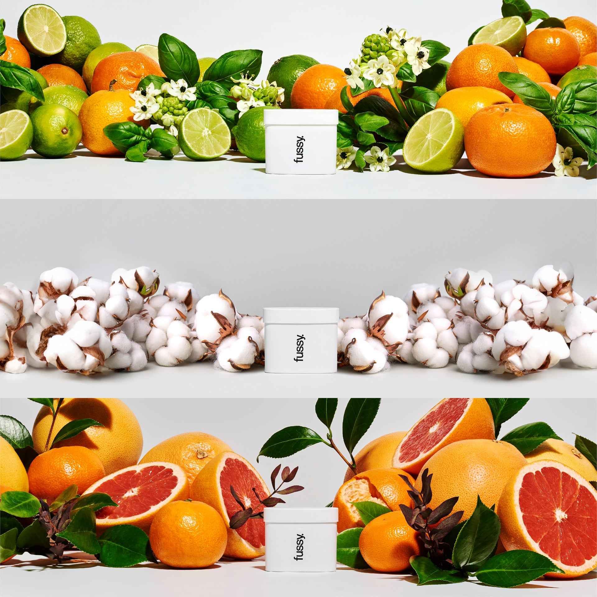 Zitrusfrüchte und Frisch Refill Set