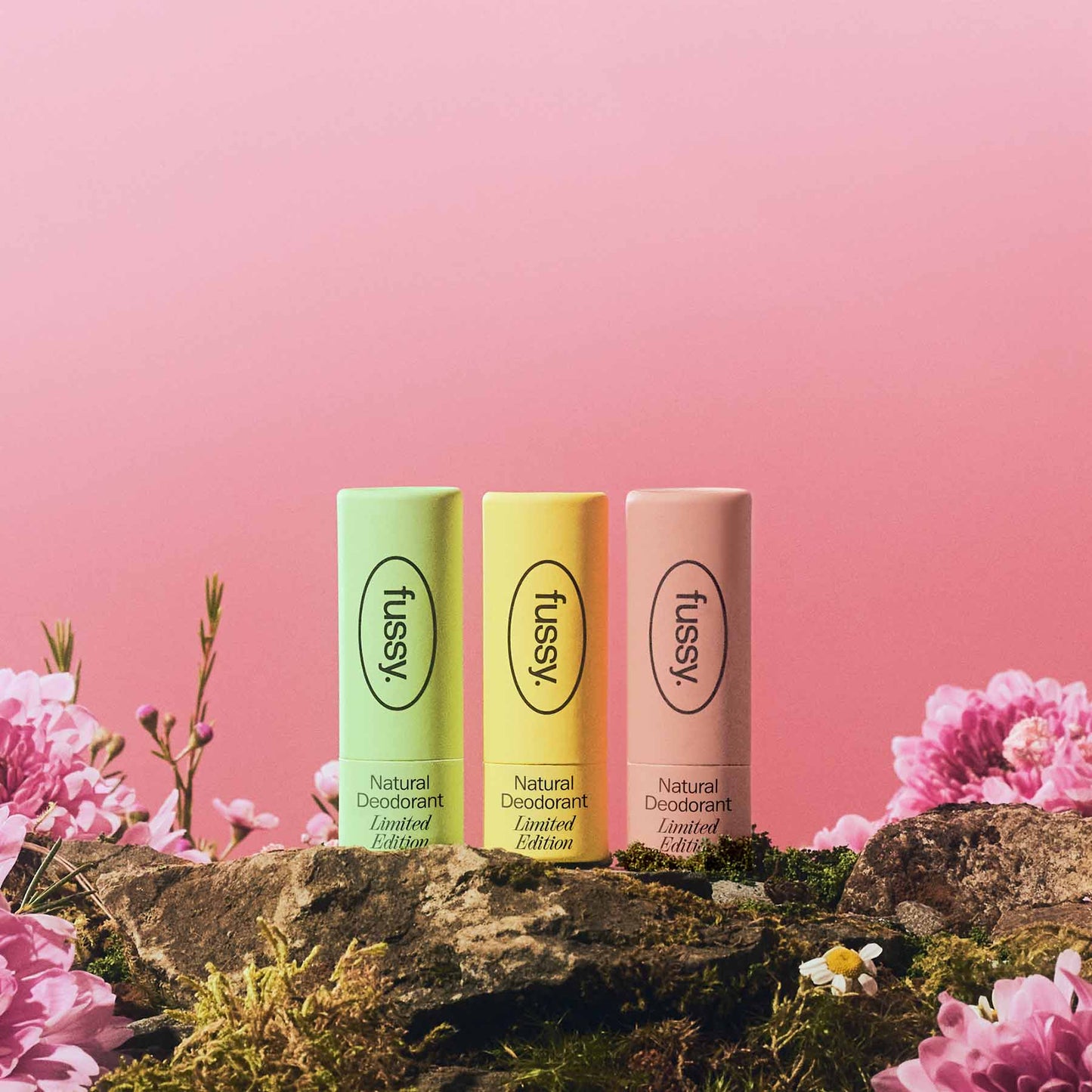 Modern Rituals Collection Mini-Set